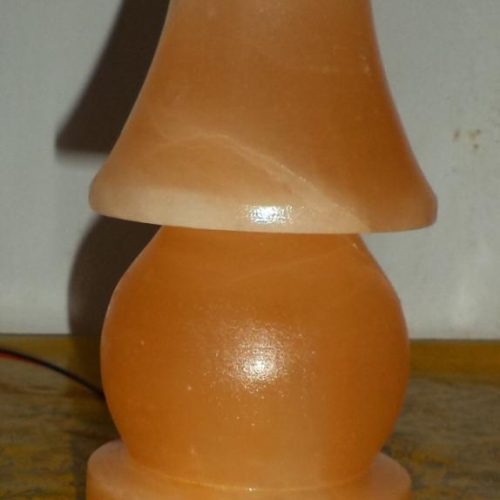 WhatsApp Image 2023-09-01 at 22.45.23