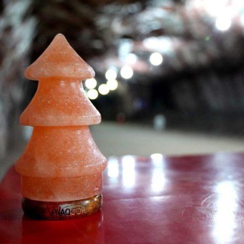 WhatsApp Image 2023-09-01 at 22.45.27